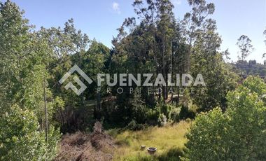 Departamento en Arriendo en PARQUE PUCALAN