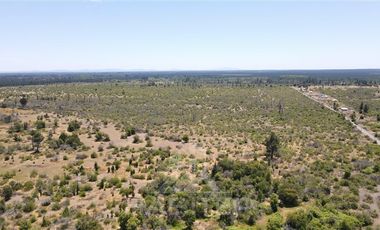 Agrícola en Venta en salida norte