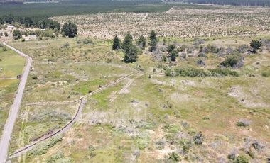 Agrícola en Venta en salida norte