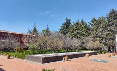 CASA EN RENTA EN TOLUCA