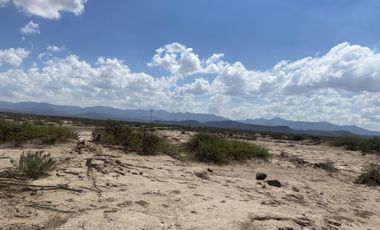 Terreno en venta en San Antonio del Jaral, General Cepeda, Coahuila de Zaragoza