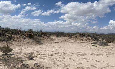 Terreno en venta en San Antonio del Jaral, General Cepeda, Coahuila de Zaragoza