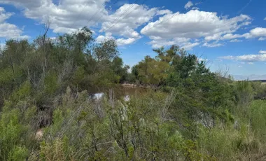 Terreno en venta en Ampliación Rincón de los Pastores, Saltillo, Coahuila de Zaragoza