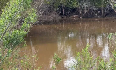 Terreno en venta en Ampliación Rincón de los Pastores, Saltillo, Coahuila de Zaragoza