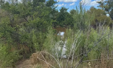 Terreno en venta en Ampliación Rincón de los Pastores, Saltillo, Coahuila de Zaragoza