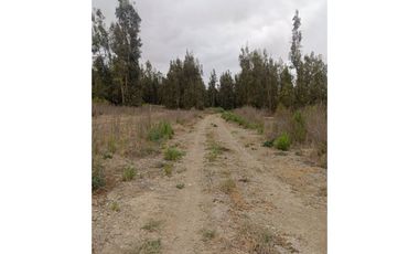 Vendo Terreno en zona Urbana de Ovalle