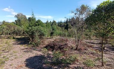 Terreno en Venta Ubicado en Guarne Codigo 1992