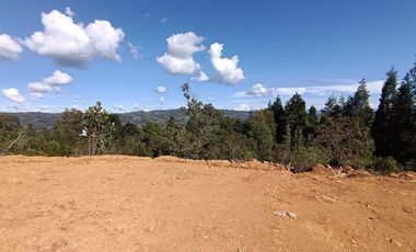 Terreno en Venta Ubicado en Guarne Codigo 1993