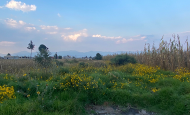 Terreno en Venta San Nicolas Tolentino