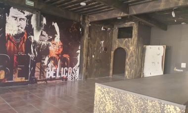 RENTA LOCALES EN PLAZASAN ISIDRO METEPEC