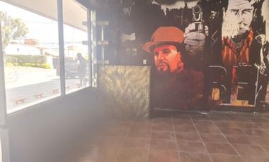 RENTA LOCALES EN PLAZASAN ISIDRO METEPEC