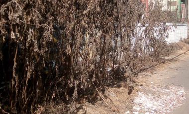 LAS ARBOLEDAS, TLÁHUAC, CDMX. TERRENO VENTA