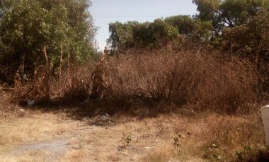 LAS ARBOLEDAS, TLÁHUAC, CDMX. TERRENO VENTA