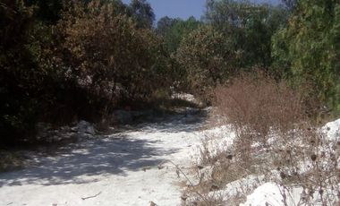 LAS ARBOLEDAS, TLÁHUAC, CDMX. TERRENO VENTA