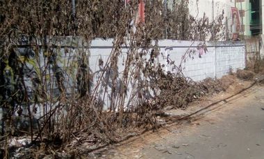 LAS ARBOLEDAS, TLÁHUAC, CDMX. TERRENO VENTA