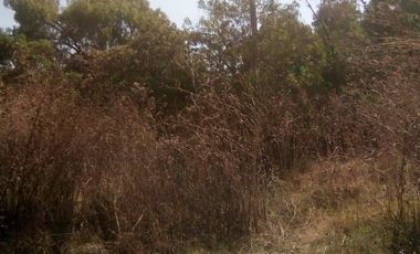 LAS ARBOLEDAS, TLÁHUAC, CDMX. TERRENO VENTA