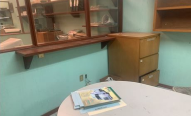 Guadalupe del Moral Bodega Venta Iztapalapa CDMX