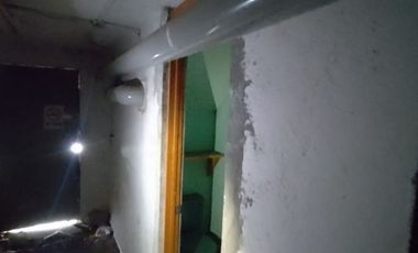 Guadalupe del Moral Bodega Venta Iztapalapa CDMX