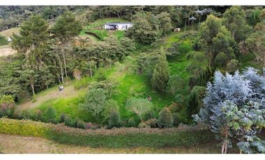 SE VENDE LOTE EN LA CEJA SECTOR EL TABOR[NATYZU]