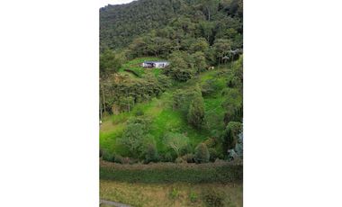 SE VENDE LOTE EN LA CEJA SECTOR EL TABOR[NATYZU]