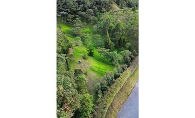 SE VENDE LOTE EN LA CEJA SECTOR EL TABOR[NATYZU]