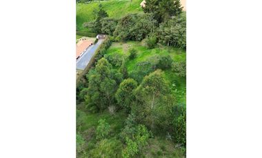 SE VENDE LOTE EN LA CEJA SECTOR EL TABOR[NATYZU]