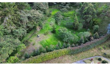 SE VENDE LOTE EN LA CEJA SECTOR EL TABOR[NATYZU]