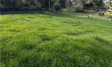 SE VENDE LOTE INDEPENDIENTE EN LA CEJA SECTOR SAN NICOLAS VA LLANOGR