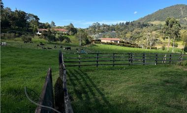 SE VENDE LOTE INDEPENDIENTE EN LA CEJA SECTOR SAN NICOLAS VA LLANOGR