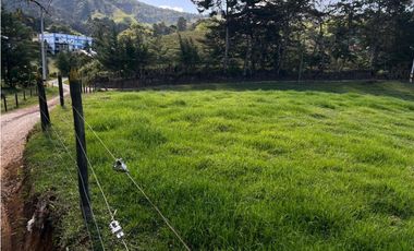 SE VENDE LOTE INDEPENDIENTE EN LA CEJA SECTOR SAN NICOLAS VA LLANOGR