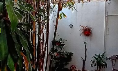 Casa en renta en calle Coral, Fracc. Punta del Mar, en Coatzacoalcos, Veracruz.