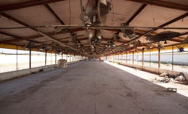 RANCHO AVÍCOLA EN VENTA EN GOMEZ PALACIO