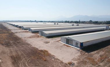 RANCHO AVÍCOLA EN VENTA EN GOMEZ PALACIO