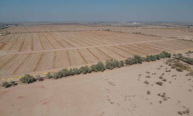 TERRENO EN VENTA EN GOMEZ PALACIO
