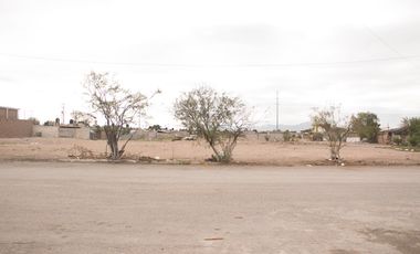 TERRENO EN VENTA EN GOMEZ PALACIO