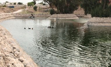 TERRENO EN VENTA EN HACIENDA EL ROSARIO, TORREON