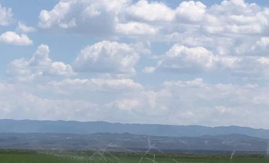 RANCHO EN VENTA EN PARRAS DE LA FUENTE