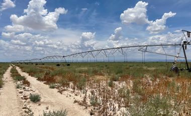 RANCHO EN VENTA EN PARRAS DE LA FUENTE