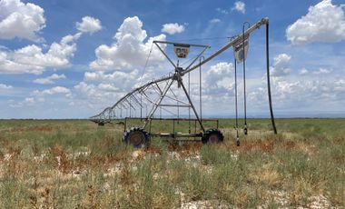 RANCHO EN VENTA EN PARRAS DE LA FUENTE