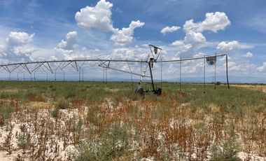 RANCHO EN VENTA EN PARRAS DE LA FUENTE