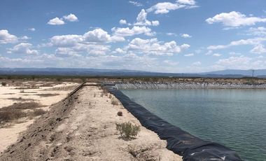 RANCHO EN VENTA EN PARRAS DE LA FUENTE