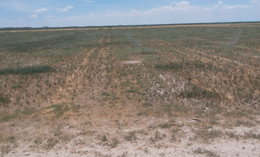 RANCHO EN VENTA EN PARRAS DE LA FUENTE
