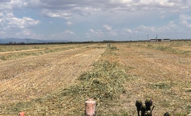 RANCHO EN VENTA EN PARRAS DE LA FUENTE