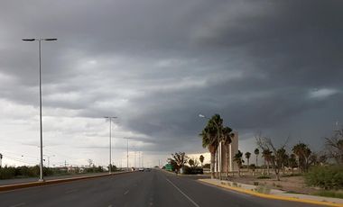 TERRENO EN RENTA EN AUTOPISTA TORREON - SAN PEDRO EN TORREON