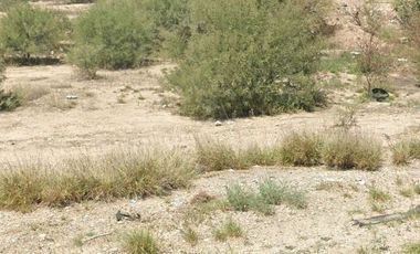 TERRENO EN VENTA EN AUTOPISTA TORREON - SAN PEDRO