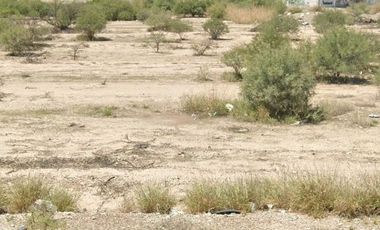 TERRENO EN VENTA EN AUTOPISTA TORREON - SAN PEDRO