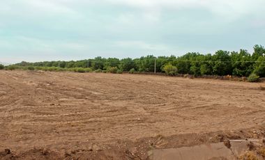 TERRENO EN VENTA FRENTE A CARRETERA TORREON-SAN PEDRO. USO MIXTO