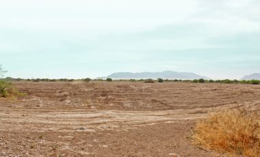 TERRENO EN VENTA FRENTE A CARRETERA TORREON-SAN PEDRO. USO MIXTO