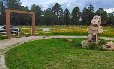 CABAÑA EN VENTA EN FRACCIONAMIENTO PROVIDENCIA, DURANGO, DURANGO