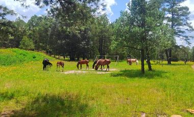 CABAÑA EN VENTA EN FRACCIONAMIENTO PROVIDENCIA, DURANGO, DURANGO